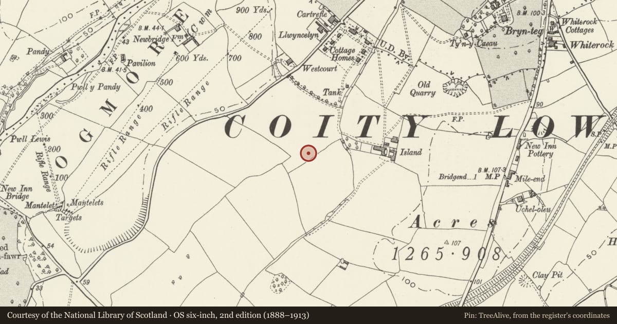 Ordnance Survey six-inch map, 2nd edition (1888–1913) covering the location of Hut 9 at former Prisoner of War Camp (198) and Special Camp XI, Island Farm, Merthyr Mawr, Bridgend, with a pin at the register's coordinates