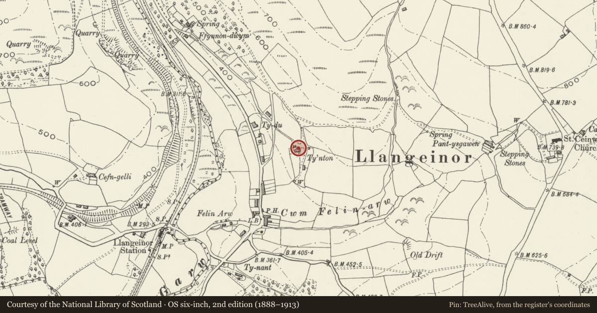 Ordnance Survey six-inch map, 2nd edition (1888–1913) covering the location of Tynton, Garw Valley, Bridgend, with a pin at the register's coordinates