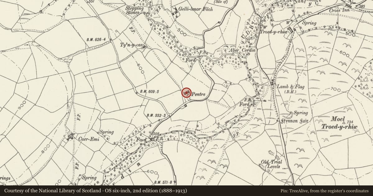 Ordnance Survey six-inch map, 2nd edition (1888–1913) covering the location of Pentre Farmhouse, with attached farm range, Maesteg, Bridgend, with a pin at the register's coordinates
