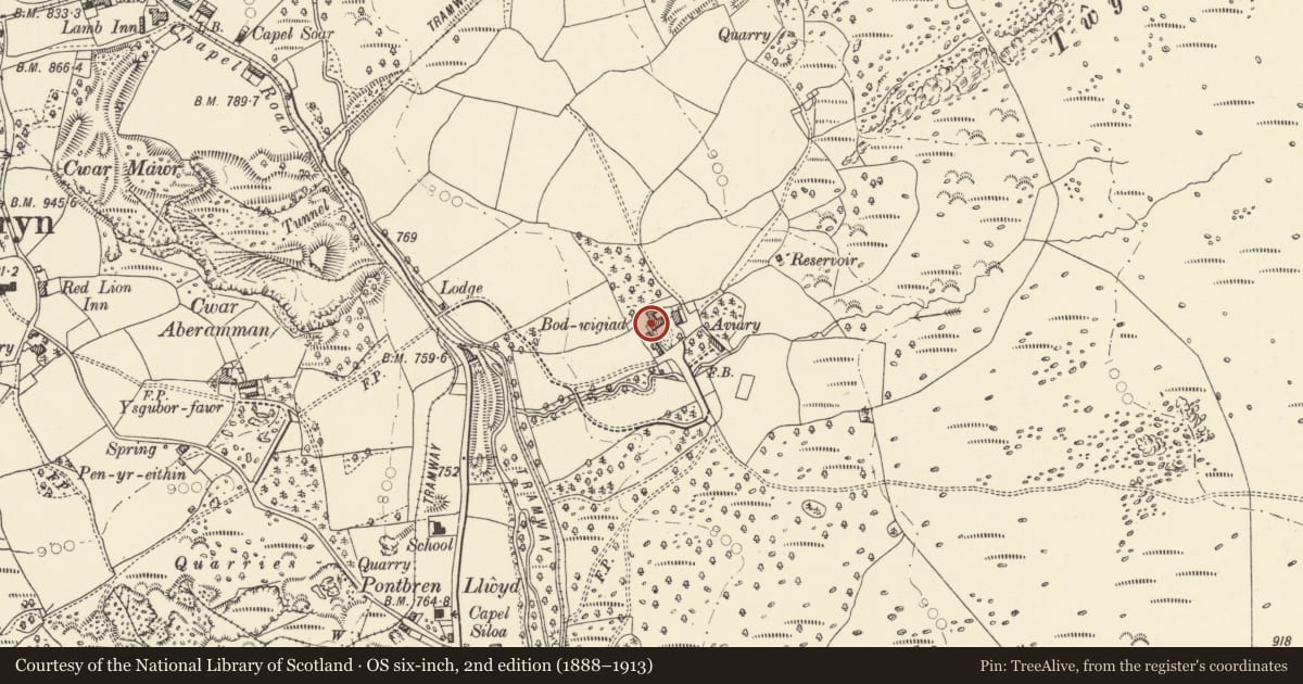 Ordnance Survey six-inch map, 2nd edition (1888–1913) covering the location of Bodwigiad, Hirwaun, Rhondda Cynon Taff, with a pin at the register's coordinates
