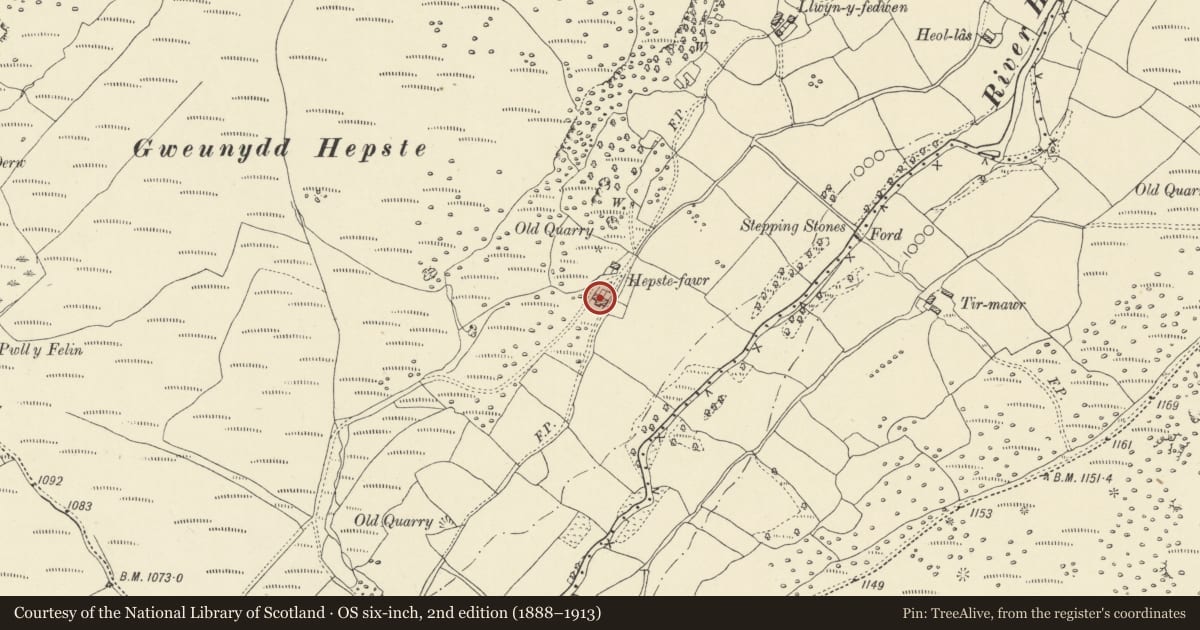 Ordnance Survey six-inch map, 2nd edition (1888–1913) covering the location of Hepste Fawr, Ystradfellte, Powys, with a pin at the register's coordinates