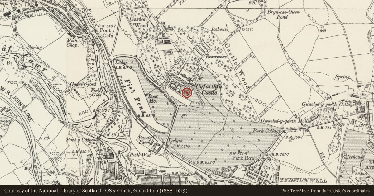 Ordnance Survey six-inch map, 2nd edition (1888–1913) covering the location of Cyfarthfa Castle, Park, Merthyr Tydfil, with a pin at the register's coordinates