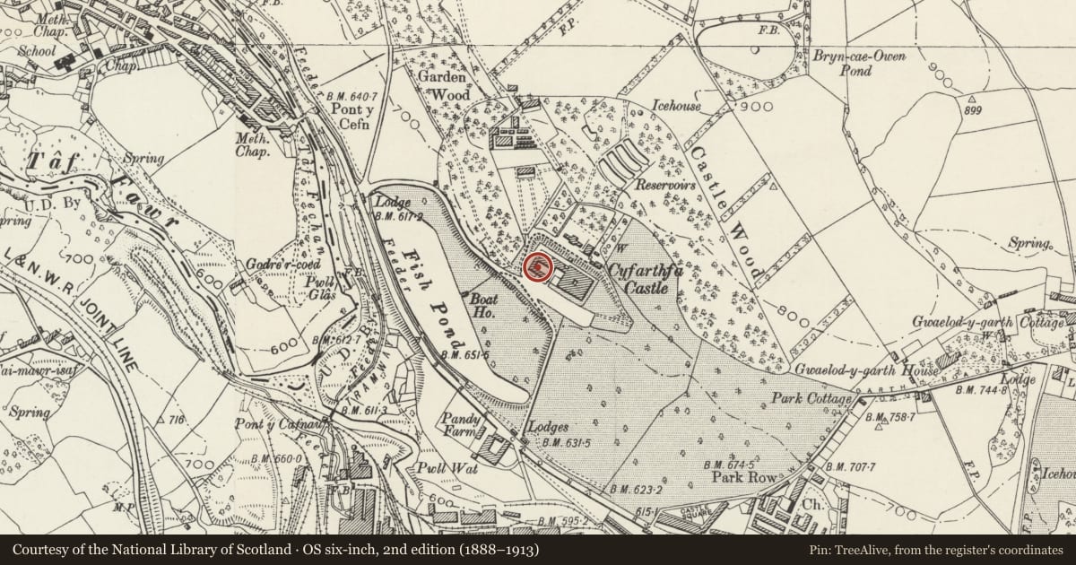 Ordnance Survey six-inch map, 2nd edition (1888–1913) covering the location of School at Cyfarthfa Castle, Park, Merthyr Tydfil, with a pin at the register's coordinates