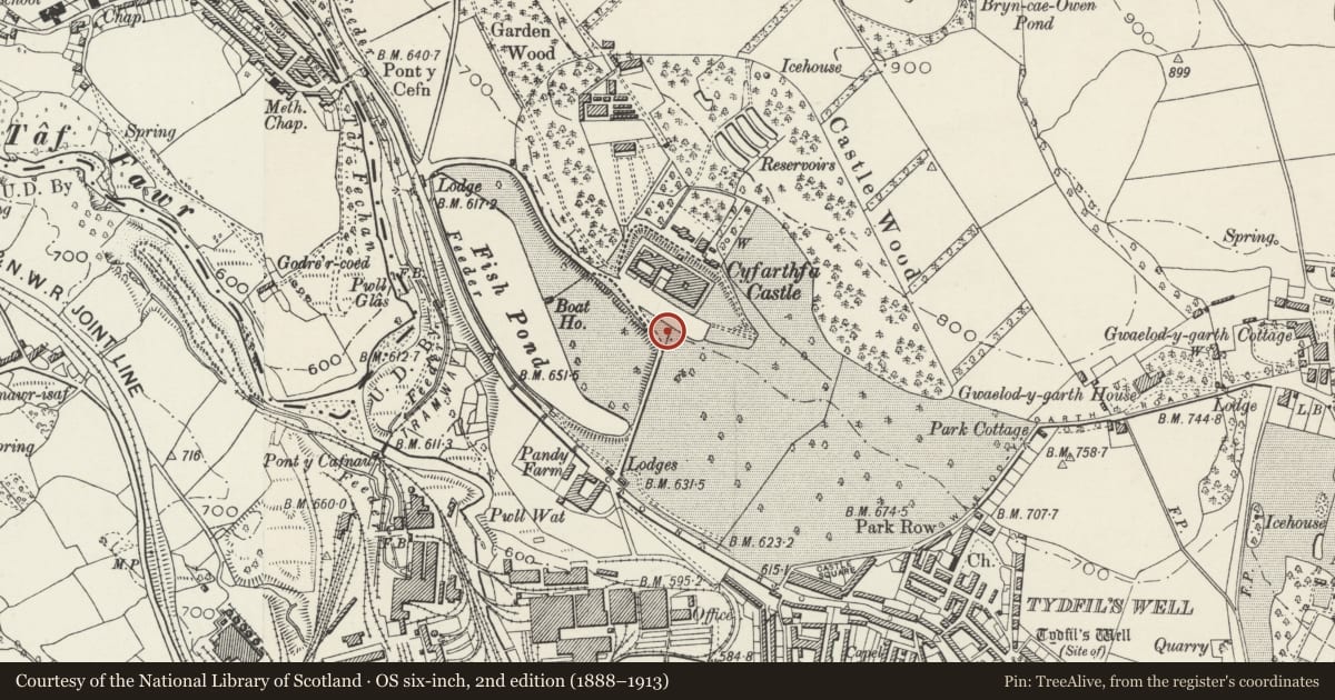 Ordnance Survey six-inch map, 2nd edition (1888–1913) covering the location of Fountain Below S.Terrace at Cyfarthfa Castle, Park, Merthyr Tydfil, with a pin at the register's coordinates