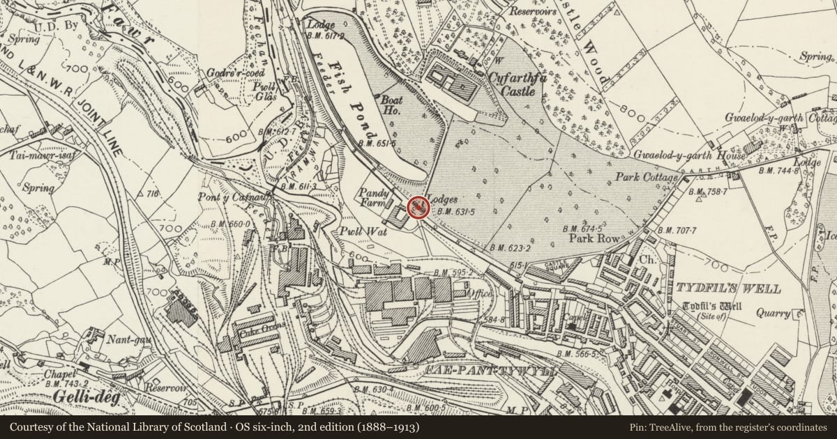 Ordnance Survey six-inch map, 2nd edition (1888–1913) covering the location of Gatepiers at Driveway entrance to Cyfarthfa Castel, Park, Merthyr Tydfil, with a pin at the register's coordinates