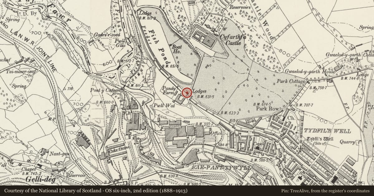 Ordnance Survey six-inch map, 2nd edition (1888–1913) covering the location of Railings at Driveway entrance to Cyfarthfa Castle, Park, Merthyr Tydfil, with a pin at the register's coordinates