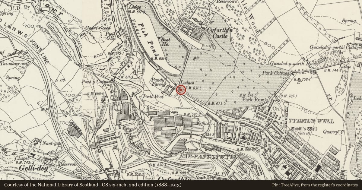 Ordnance Survey six-inch map, 2nd edition (1888–1913) covering the location of Park Wall Flanking Railings at Driveway entrance to Cyfarthfa Castle, Merthyr Tydfil, with a pin at the register's coordinates