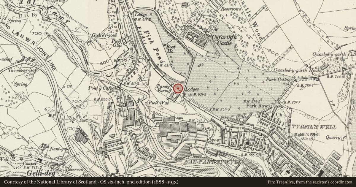 Ordnance Survey six-inch map, 2nd edition (1888–1913) covering the location of Park Wall Flanking Railingsat Driveway entrance to Cyfarthfa Castle, Merthyr Tydfil, with a pin at the register's coordinates