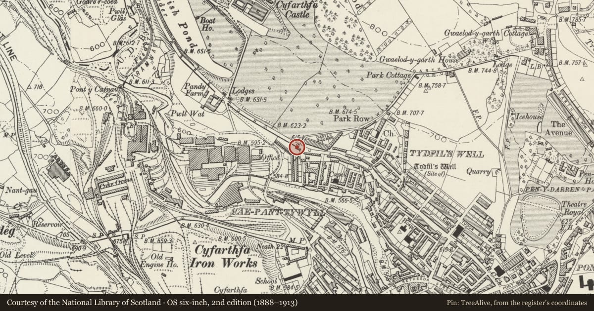 Ordnance Survey six-inch map, 2nd edition (1888–1913) covering the location of Grawen, Park, Merthyr Tydfil, with a pin at the register's coordinates