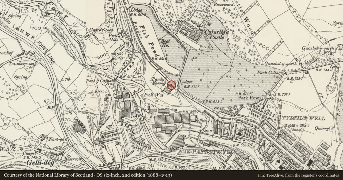 Ordnance Survey six-inch map, 2nd edition (1888–1913) covering the location of Barn at Pandy Farm, Park, Merthyr Tydfil, with a pin at the register's coordinates