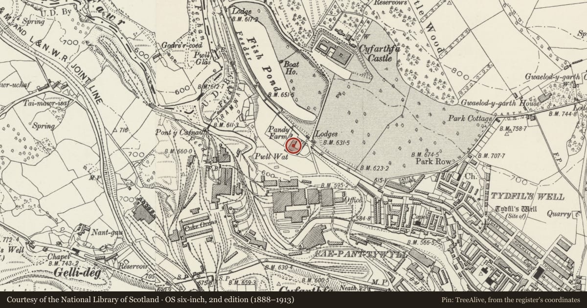 Ordnance Survey six-inch map, 2nd edition (1888–1913) covering the location of L-Plan Stable Ranges at Pandy Farm, Park, Merthyr Tydfil, with a pin at the register's coordinates