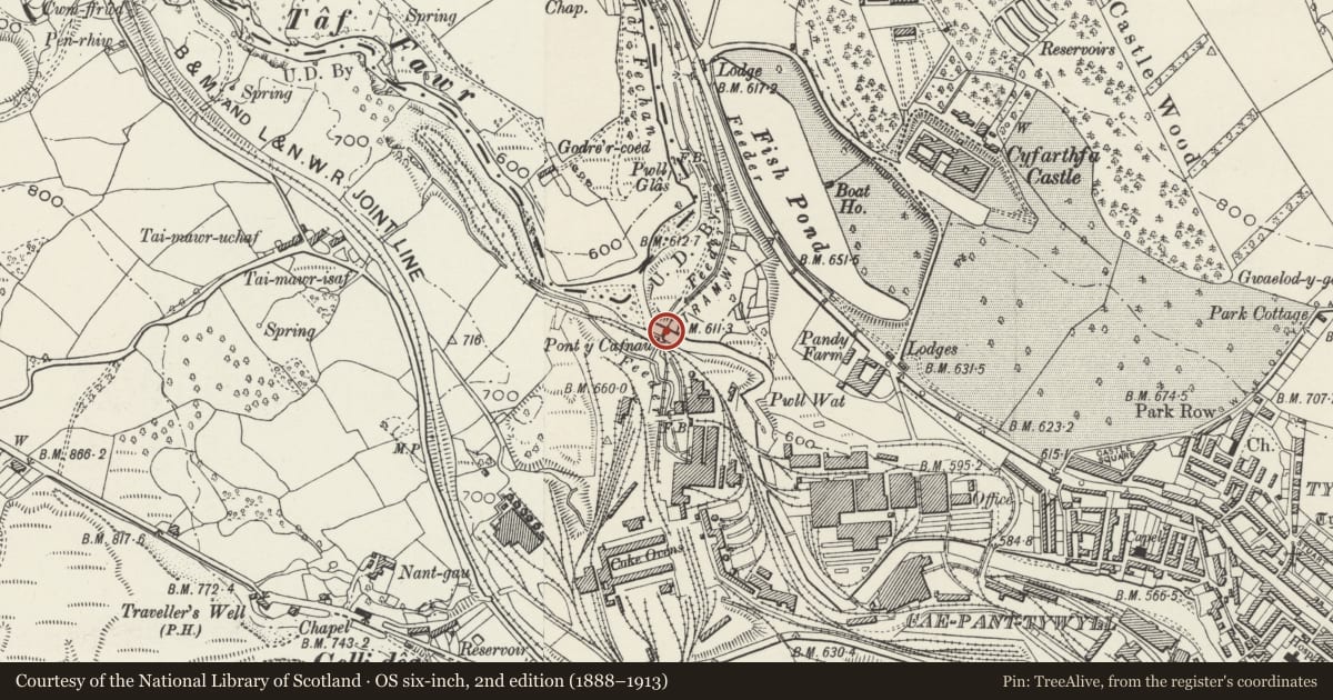 Ordnance Survey six-inch map, 2nd edition (1888–1913) covering the location of Pont-y-Cafnau, Park, Merthyr Tydfil, with a pin at the register's coordinates
