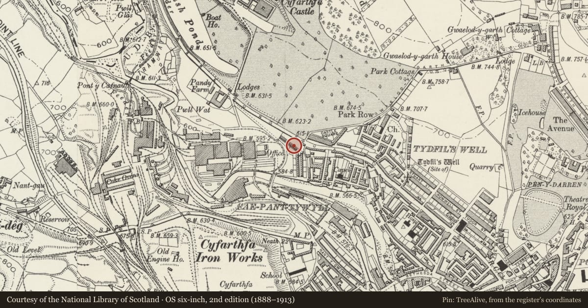 Ordnance Survey six-inch map, 2nd edition (1888–1913) covering the location of 23 Cyfartha Road, Park, Merthyr Tydfil, with a pin at the register's coordinates