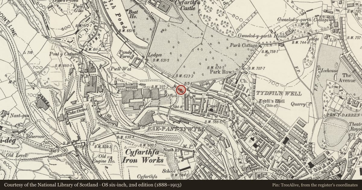 Ordnance Survey six-inch map, 2nd edition (1888–1913) covering the location of 25 Cyfartha Road, Park, Merthyr Tydfil, with a pin at the register's coordinates