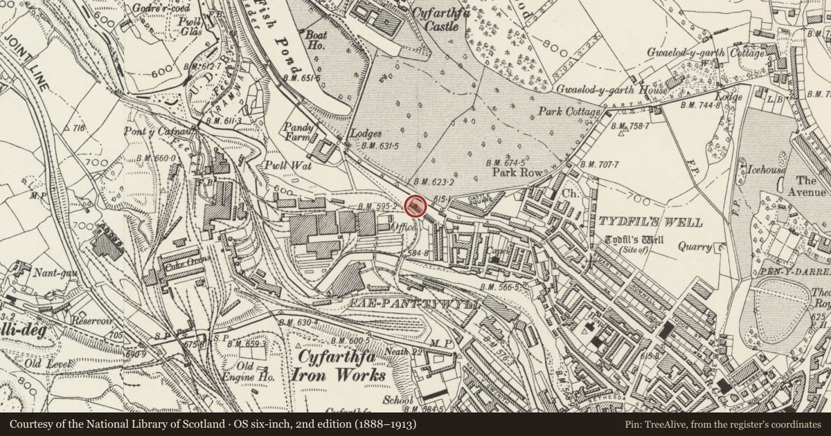 Ordnance Survey six-inch map, 2nd edition (1888–1913) covering the location of 29 Cyfartha Road, Park, Merthyr Tydfil, with a pin at the register's coordinates