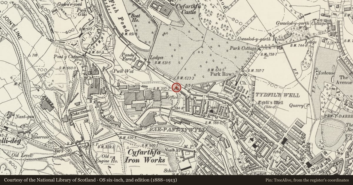 Ordnance Survey six-inch map, 2nd edition (1888–1913) covering the location of 30 Cyfartha Road, Park, Merthyr Tydfil, with a pin at the register's coordinates