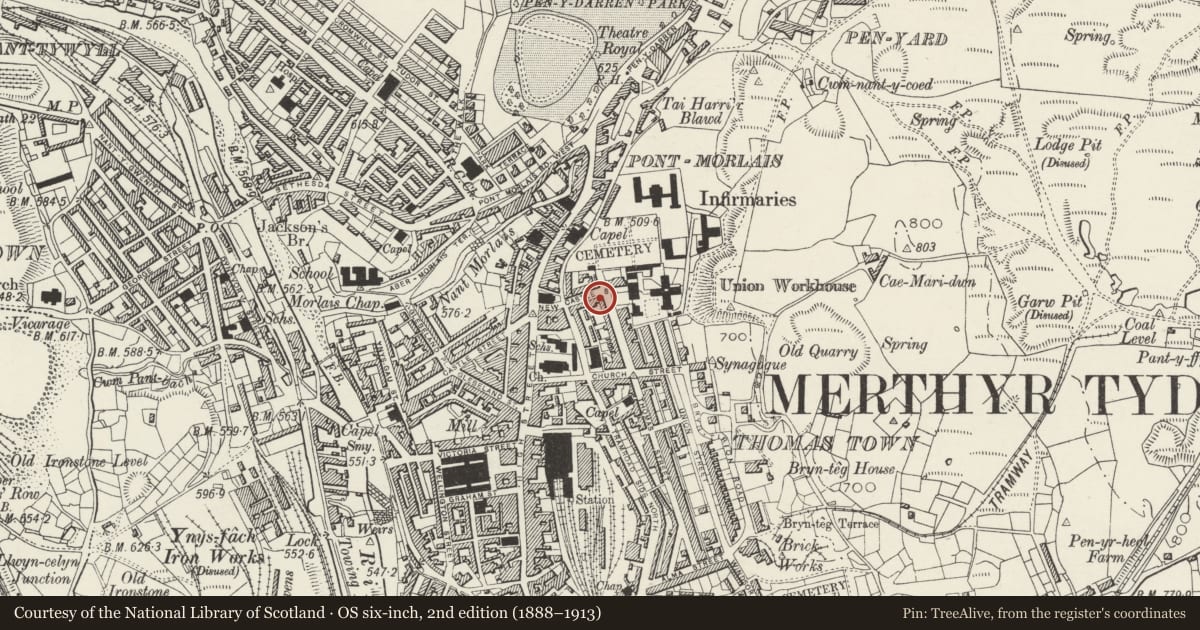 Ordnance Survey six-inch map, 2nd edition (1888–1913) covering the location of Trengrove House, Town, Merthyr Tydfil, with a pin at the register's coordinates