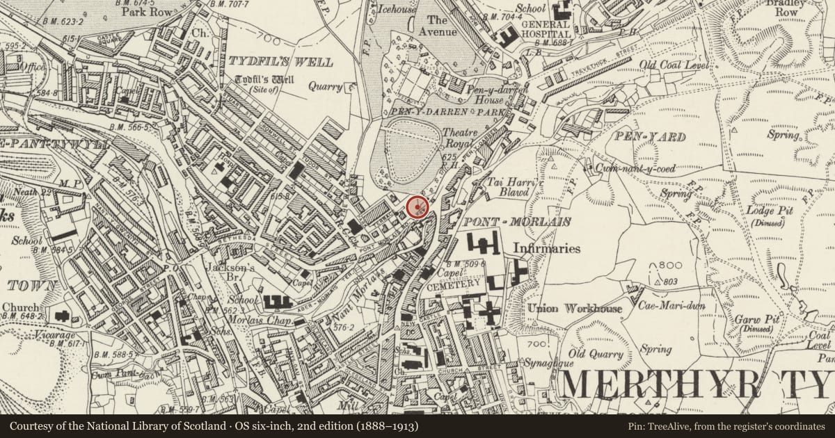 Ordnance Survey six-inch map, 2nd edition (1888–1913) covering the location of District Education Office of Mid-Glamorgan County Council (YMCA), Park, Merthyr Tydfil, with a pin at the register's coordinates