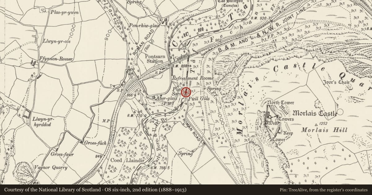 Ordnance Survey six-inch map, 2nd edition (1888–1913) covering the location of Pont-sarn, Vaynor, Merthyr Tydfil, with a pin at the register's coordinates