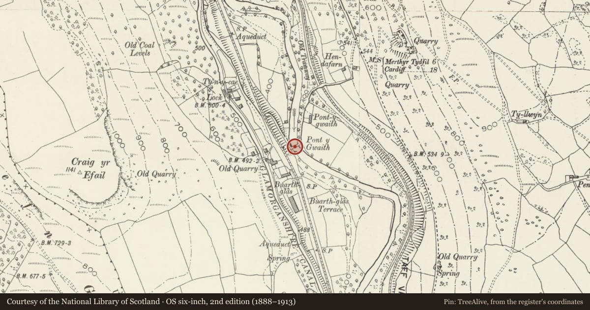 Ordnance Survey six-inch map, 2nd edition (1888–1913) covering the location of Pont y Gwaith, Treharris, Merthyr Tydfil, with a pin at the register's coordinates
