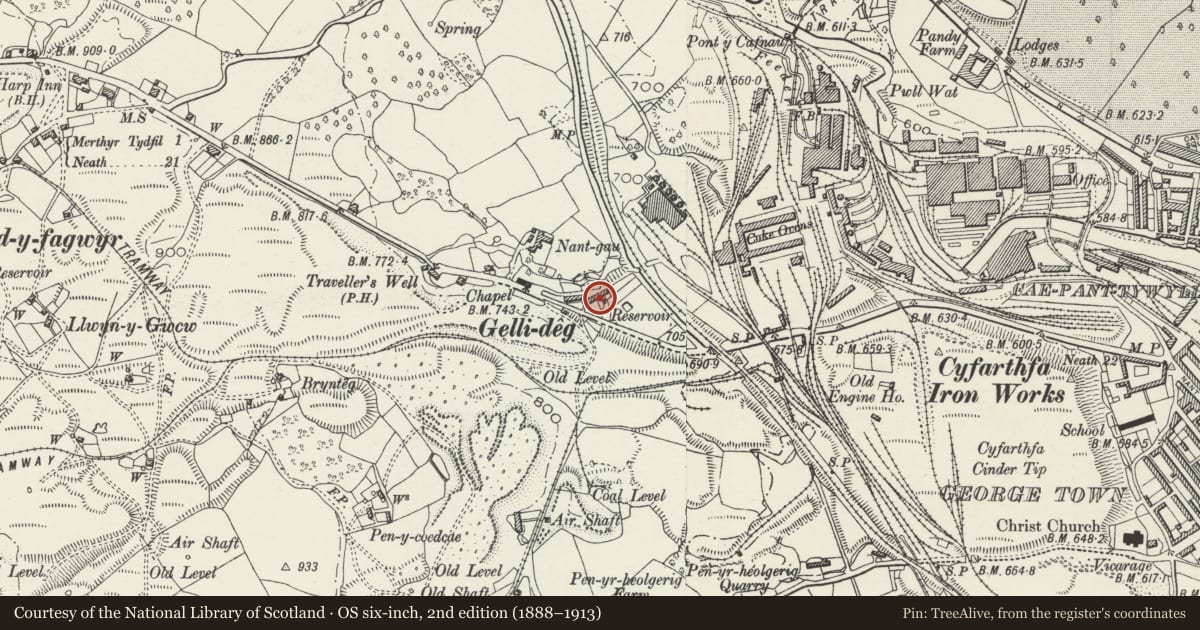 Ordnance Survey six-inch map, 2nd edition (1888–1913) covering the location of 15 Gelli-deg, Cyfarthfa, Merthyr Tydfil, with a pin at the register's coordinates