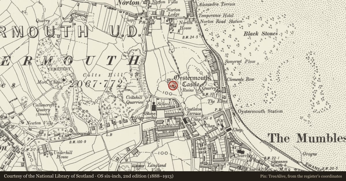 Ordnance Survey six-inch map, 2nd edition (1888–1913) covering the location of Oystermouth Castle, Mumbles, Swansea, with a pin at the register's coordinates