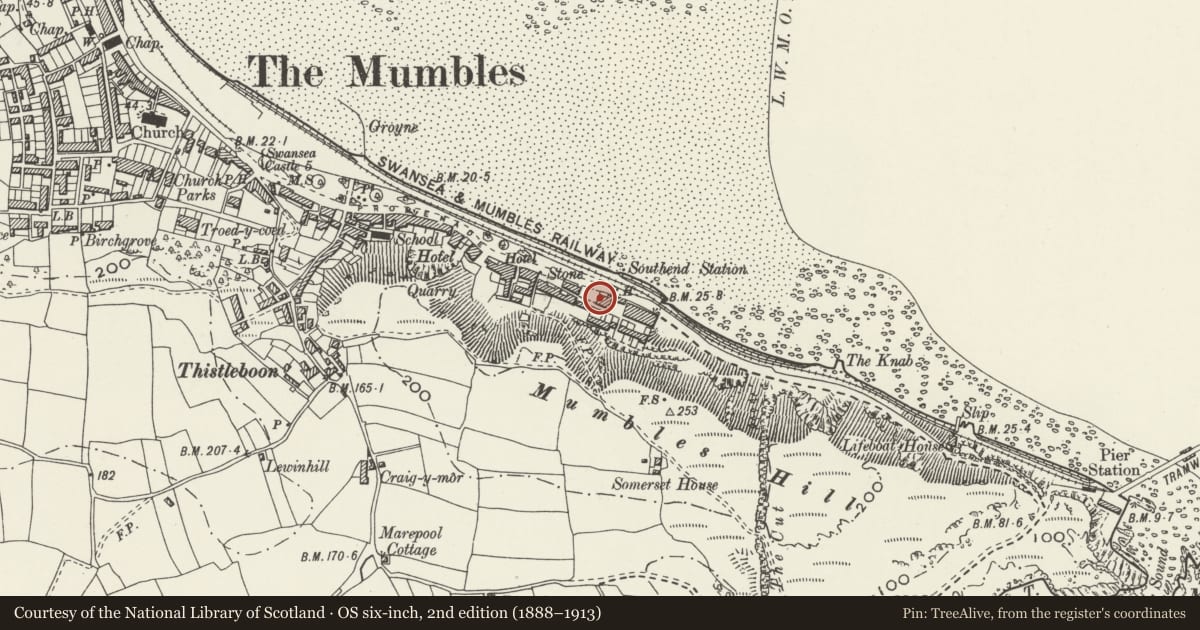 Ordnance Survey six-inch map, 2nd edition (1888–1913) covering the location of 1 Southend Villas, Mumbles, Swansea, with a pin at the register's coordinates