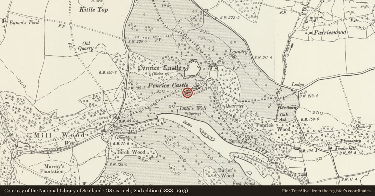 Ordnance Survey six-inch map, 2nd edition (1888–1913) covering the location of Penrice Castle (Mansion), Swansea, with a pin at the register's coordinates