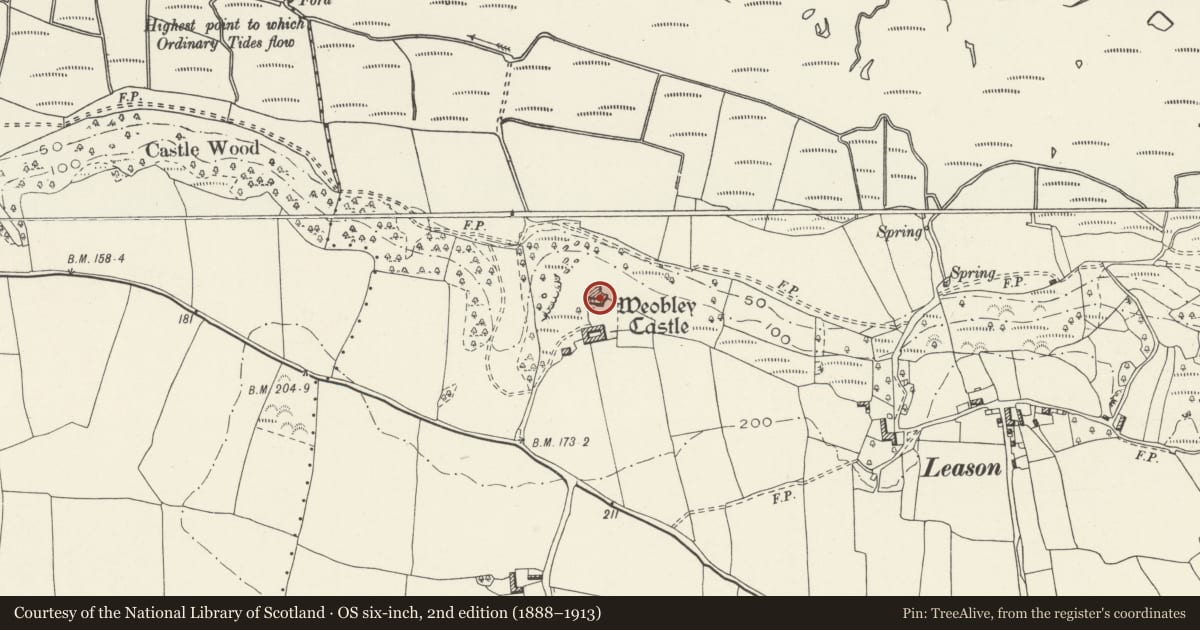 Ordnance Survey six-inch map, 2nd edition (1888–1913) covering the location of Weobley Castle, Llanrhidian Lower, Swansea, with a pin at the register's coordinates
