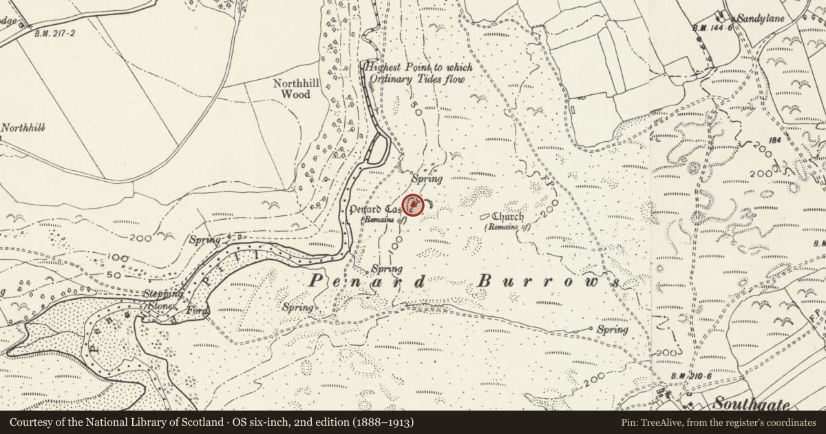 Ordnance Survey six-inch map, 2nd edition (1888–1913) covering the location of Pennard Castle, Swansea, with a pin at the register's coordinates