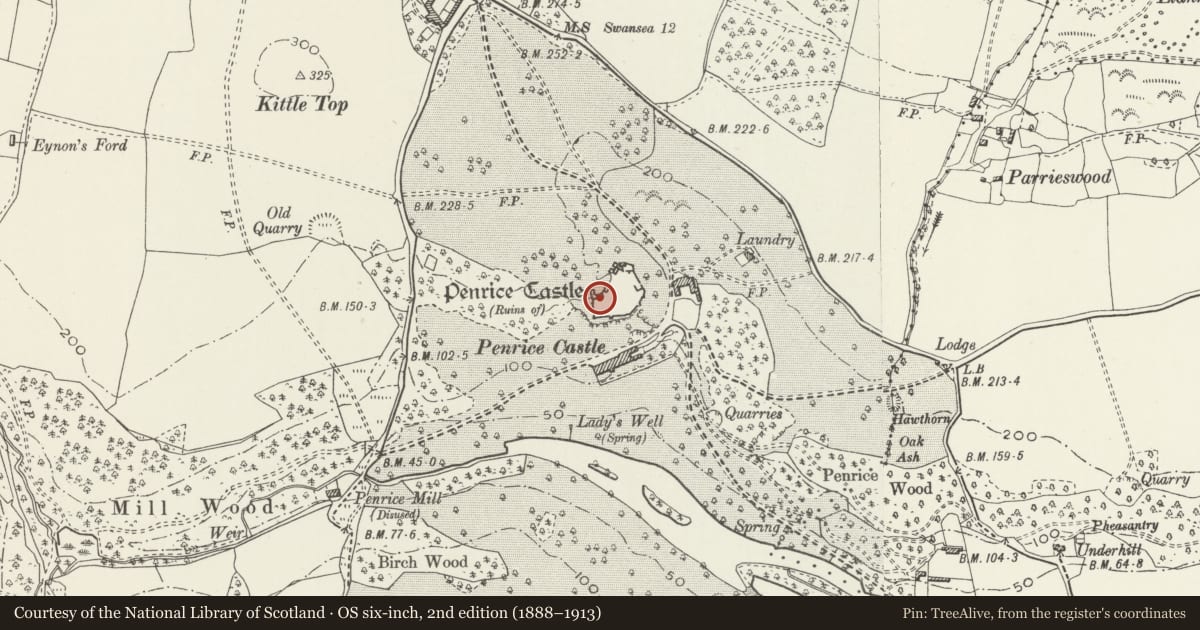 Ordnance Survey six-inch map, 2nd edition (1888–1913) covering the location of Penrice Castle (Ruins), Swansea, with a pin at the register's coordinates
