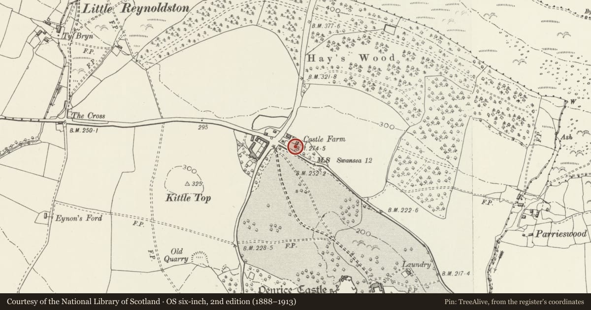 Ordnance Survey six-inch map, 2nd edition (1888–1913) covering the location of Home Farm Granary, Penrice, Swansea, with a pin at the register's coordinates