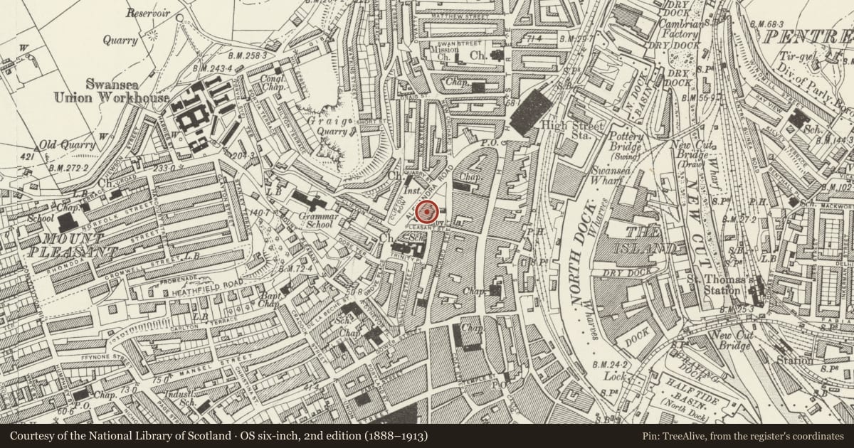 Ordnance Survey six-inch map, 2nd edition (1888–1913) covering the location of Central Library, Castle, Swansea, with a pin at the register's coordinates