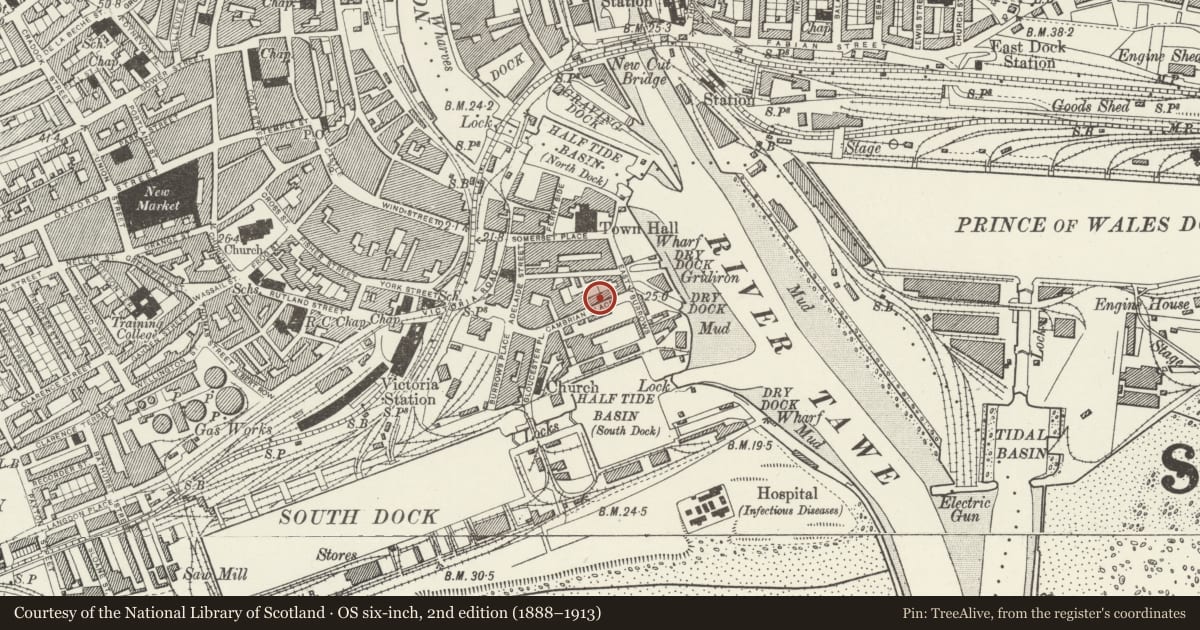 Ordnance Survey six-inch map, 2nd edition (1888–1913) covering the location of 8 Cambrian Place, Waterfront/Y Glannau, Swansea, with a pin at the register's coordinates