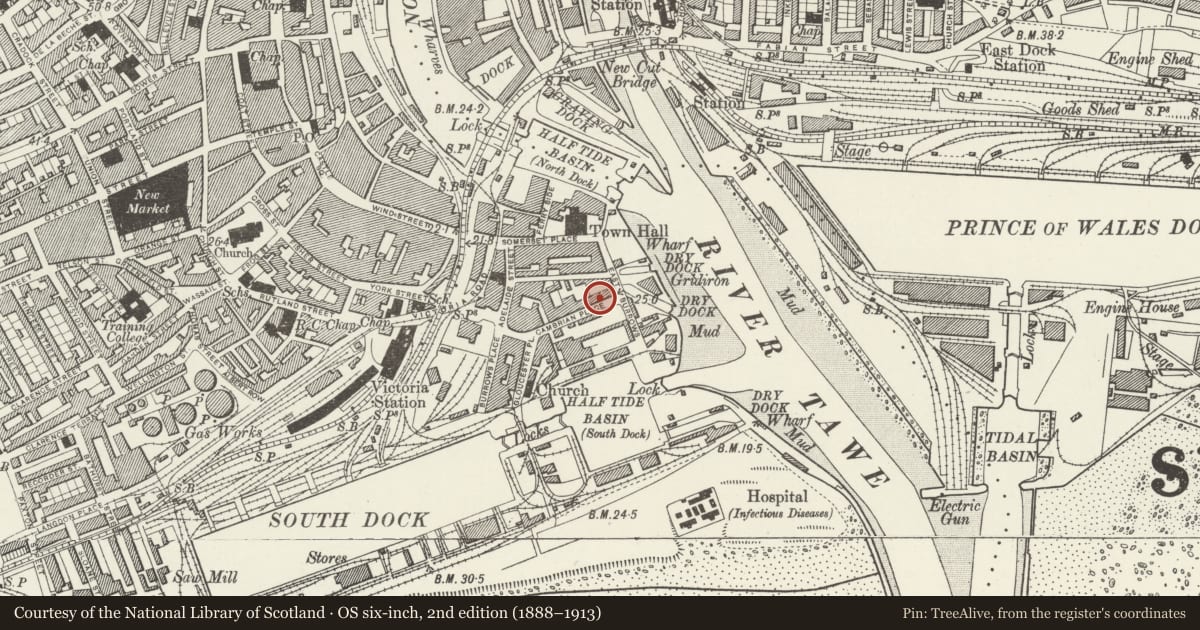 Ordnance Survey six-inch map, 2nd edition (1888–1913) covering the location of 10 Cambrian Place, Waterfront/Y Glannau, Swansea, with a pin at the register's coordinates