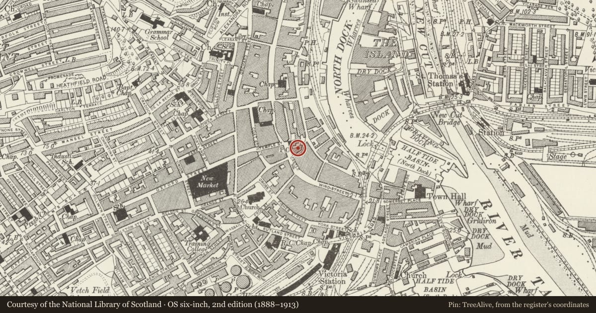 Ordnance Survey six-inch map, 2nd edition (1888–1913) covering the location of Swansea Castle, Swansea, with a pin at the register's coordinates