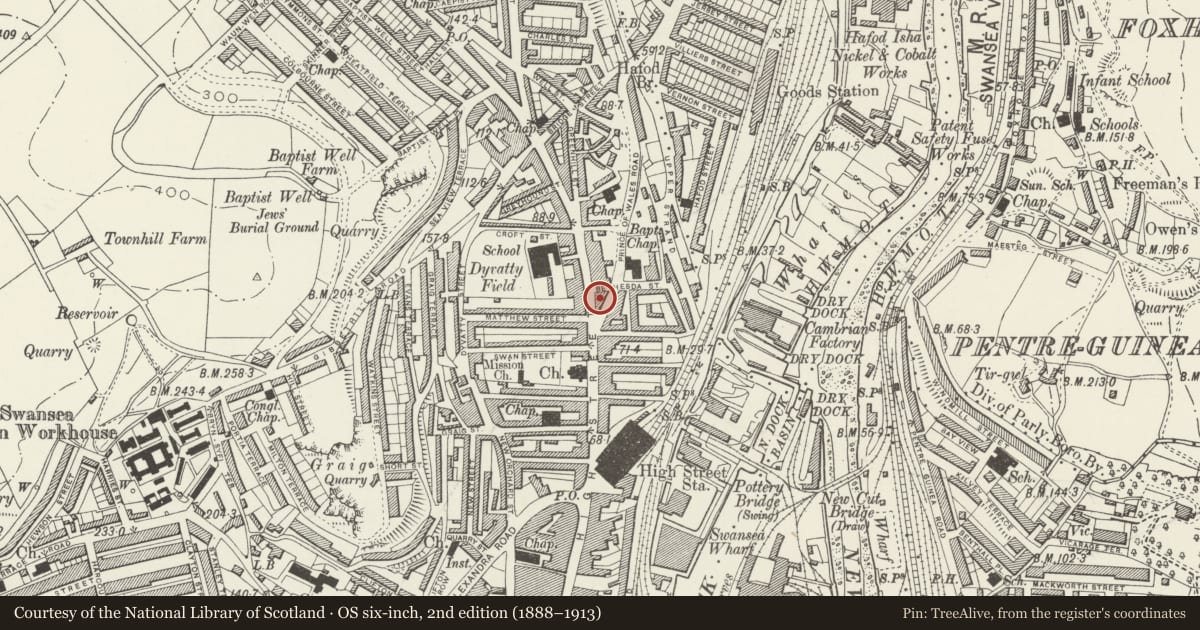 Ordnance Survey six-inch map, 2nd edition (1888–1913) covering the location of Palace Theatre, Castle, Swansea, with a pin at the register's coordinates