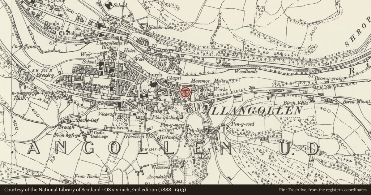 Ordnance Survey six-inch map, 2nd edition (1888–1913) covering the location of Llangollen Hide & Skin Co. Ltd., Denbighshire, with a pin at the register's coordinates