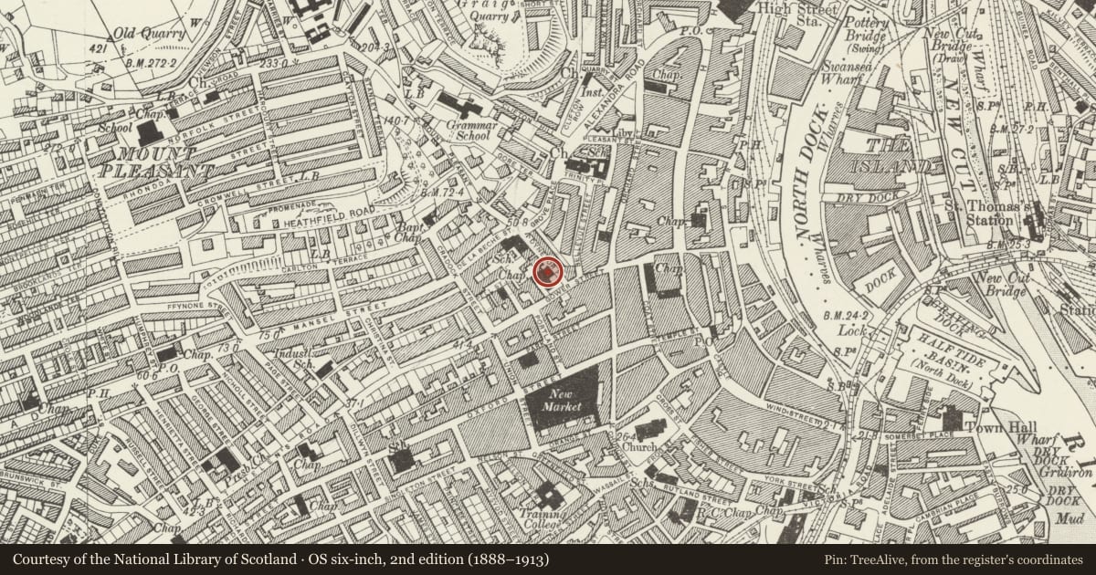 Ordnance Survey six-inch map, 2nd edition (1888–1913) covering the location of Mount Pleasant Baptist Church Hall, Castle, Swansea, with a pin at the register's coordinates