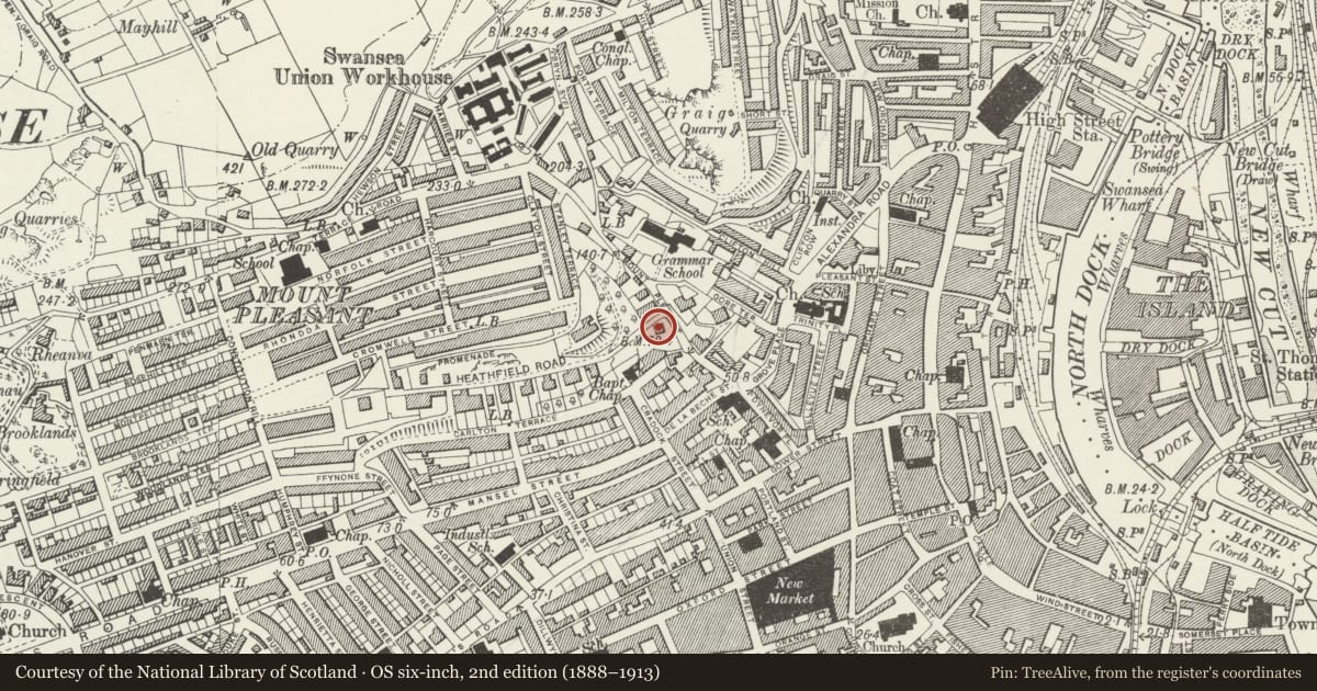 Ordnance Survey six-inch map, 2nd edition (1888–1913) covering the location of Mount Pleasant Hotel, Castle, Swansea, with a pin at the register's coordinates