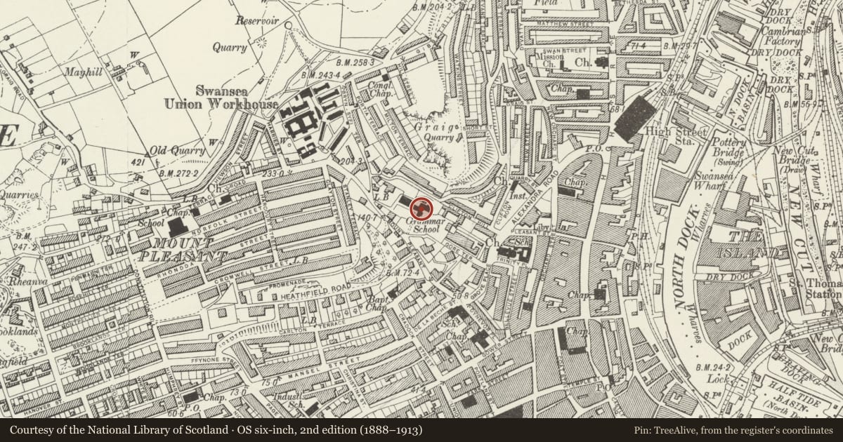Ordnance Survey six-inch map, 2nd edition (1888–1913) covering the location of Former Swansea Grammar School, Castle, Swansea, with a pin at the register's coordinates