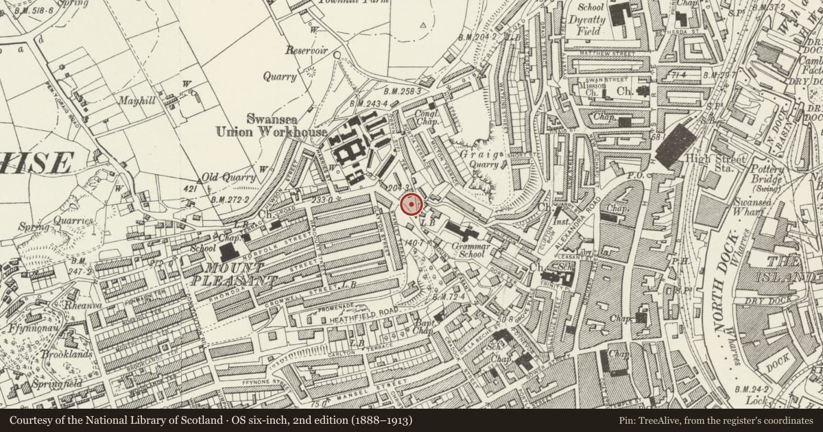 Ordnance Survey six-inch map, 2nd edition (1888–1913) covering the location of Technical College Building, Castle, Swansea, with a pin at the register's coordinates
