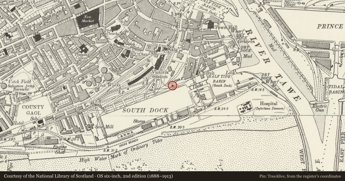 Ordnance Survey six-inch map, 2nd edition (1888–1913) covering the location of Maritime & Industrial Museum, Waterfront/Y Glannau, Swansea, with a pin at the register's coordinates