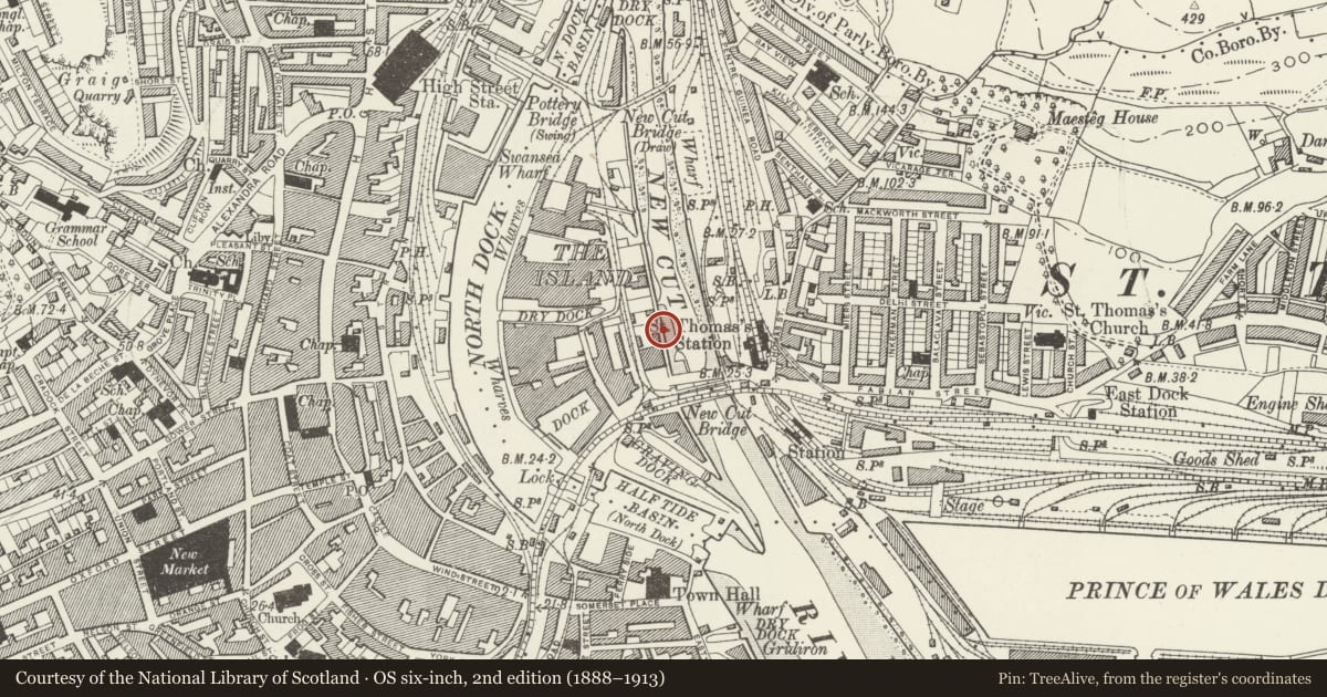 Ordnance Survey six-inch map, 2nd edition (1888–1913) covering the location of Iron Bollard Close to River Tawe to N of New Cut Bridge, Castle, Swansea, with a pin at the register's coordinates