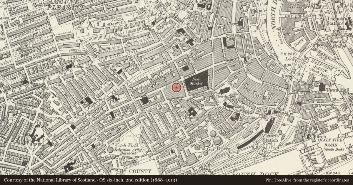 Ordnance Survey six-inch map, 2nd edition (1888–1913) covering the location of Former Carlton Cinema (Including Nos.18B & 18C), Castle, Swansea, with a pin at the register's coordinates