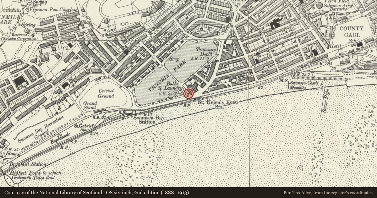 Ordnance Survey six-inch map, 2nd edition (1888–1913) covering the location of Memorial Fountain to Henry Evans Charles, Castle, Swansea, with a pin at the register's coordinates