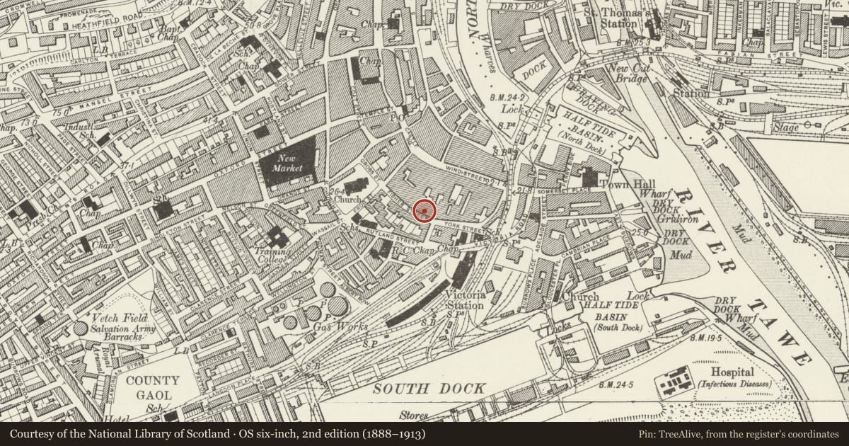 Ordnance Survey six-inch map, 2nd edition (1888–1913) covering the location of 3 Princess Way, Castle, Swansea, with a pin at the register's coordinates