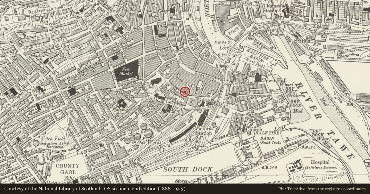 Ordnance Survey six-inch map, 2nd edition (1888–1913) covering the location of 4 Princess Way, Castle, Swansea, with a pin at the register's coordinates