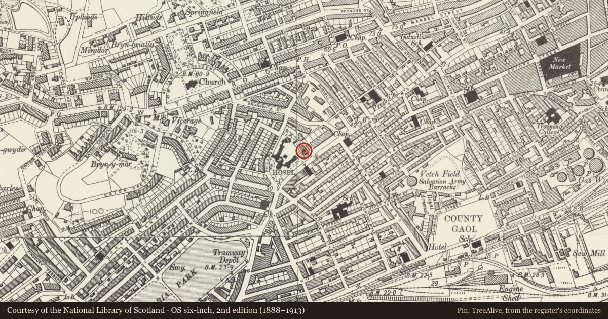 Ordnance Survey six-inch map, 2nd edition (1888–1913) covering the location of St. David's Nursing Home Annexe, Castle, Swansea, with a pin at the register's coordinates