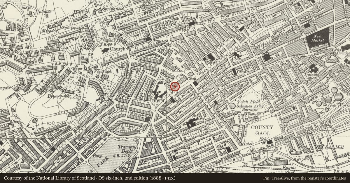 Ordnance Survey six-inch map, 2nd edition (1888–1913) covering the location of Mercer Offices including Brunswick Health Centre & Douglas-Jones, Castle, Swansea, with a pin at the register's coordinates